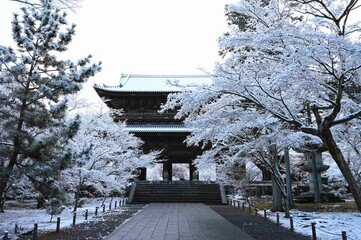 雪の南禅寺