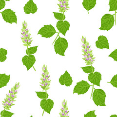 Patchouli plant seamless pattern. Flowers and green leaves isolated on white. Floral background. Vector illustration. Cartoon flat style.