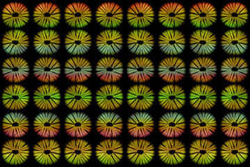 Wall of African batiks, cotton, seamless, multi-colored, photo   