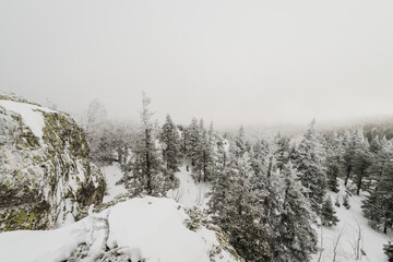 snow-covered winter coniferous forest, with completely snow-covered Christmas trees in Taganay national Park