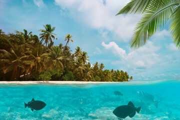 Beautiful tropical island above and underwater, travel and vacation