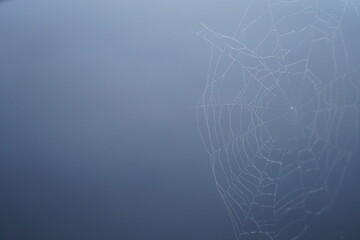 Spider web with blue background