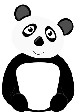 Panda Bär