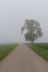 Natur und Farben