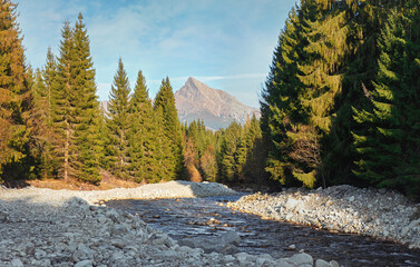 Forest river Bela with small round stones and coniferous trees on both sides, sunny day, Krivan peak - Slovak symbol - in distance