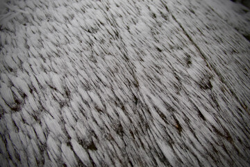 Wooden floor with heavy icing