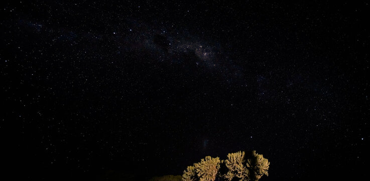 Night sky with Milkyway galaxy over small tree shrubs as seen from Anakao, Madagascar, Southern cross or crux constellation visible near Carina Nebula