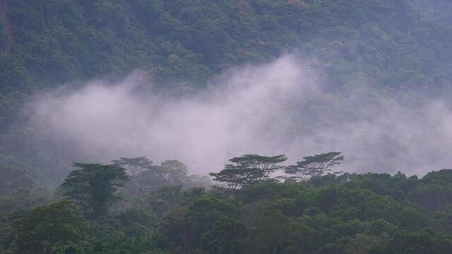 Time-lapse sea of cloud and fog nn the mountains, Waves, Nature, 4K. Cloud and fog drifted slowly across the valley. Hualien, Taiwan.