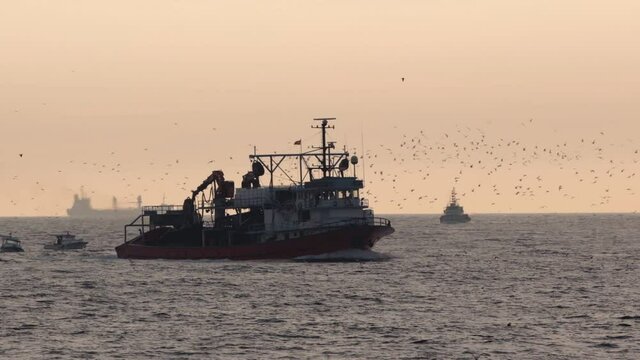 A trawler or fishing boat in the sea is coming back from fishing with many seagulls at sky.