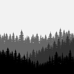 Forest background, nature, landscape. Trees, silhouette of forest