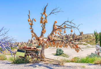 Tree Of Wishes with clay pots in Cappadocia. Nevsehir Province, Cappadocia, Turkey