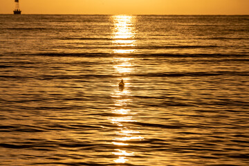 Mystery Bottle & Golden Sunrise