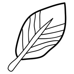 Leaf 