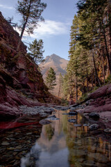 Beautiful shot of geological strata with trees alongside