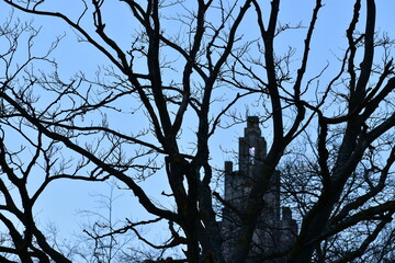 Silhouette of a monument behind tree branches against blue evening sky, Coventry, UK