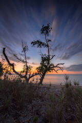 The dramatic sky looks out over the trees at dusk