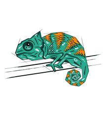 chameleon isolated on white background