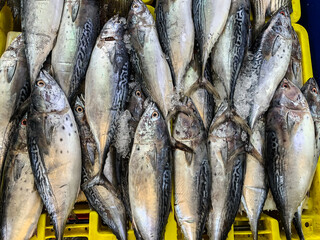 Fresh fish on the market. Netanya, Israel