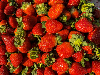 Red strawberries on the market. Netanya, Israel