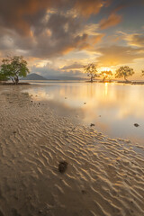 Beautiful sand beaches along with mangrove trees at dusk