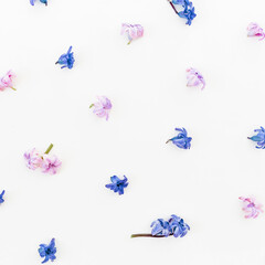 Fototapeta na wymiar Floral pattern made of petals and flowers on white background. Flat lay