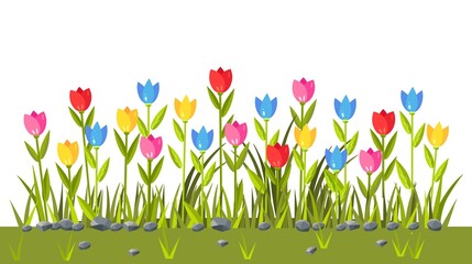 Flowers field with colorful tulips. Green grass border. Spring scene. Vector illustration