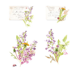 floral watercolor composition. Old postcards, lilac flowers, bouquets of wildflowers and herbs. Great for the design of greeting cards, greetings, invitations.