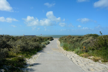 Fototapeta na wymiar A footpath between the dunes to the beach with the sea