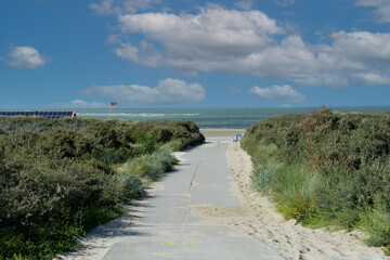 Fototapeta na wymiar Footpath between the dunes to the beach with the sea
