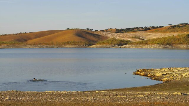 Caucasian man swimming during summer in Lucefecit Dam lake reservoir in Terena Portugal