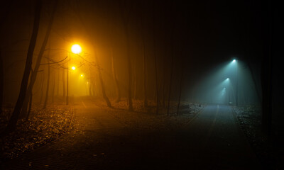 Late evening, night in park, foggy street lights illuminating crossing of pathways in two different...