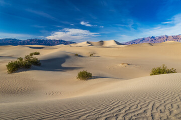 Mesquite sand dunes, in Death Valley, California. Rippled pattern on the sand. Crest of dunes on right, snaking into the distance. Lower levels partially in shadow. 