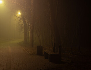 Late evening in park, foggy street lights illuminating pathway and bench