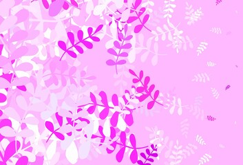 Fototapeta na wymiar Light Purple, Pink vector abstract backdrop with leaves.