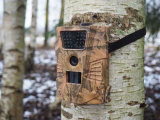 Camouflaged hunting camera on a birch trunk. Trail camera strapped around a tree in an winter wood. 
Nature protection.