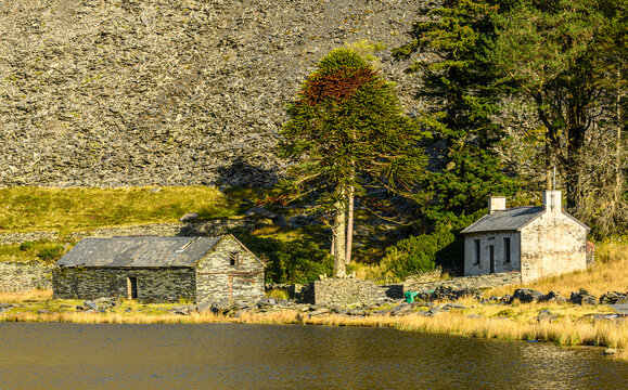 Cottage and barn at Cwmorthin slate mine 7865
