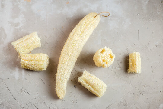 Luffa sponge for zero waste dish washing