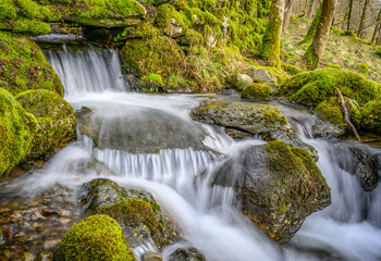 Fototapeta premium Falls at Rydal 2116