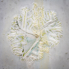 Crinkled paint on old building 6007