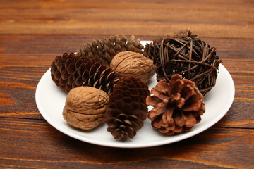 walnut open and closed close-up on white background texture worm