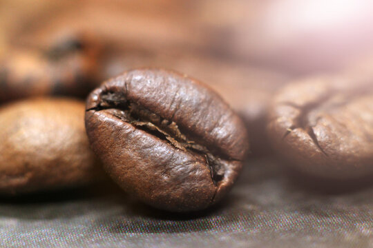 Closeup of coffee beans, macro object