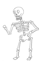 Caricatura de esqueleto humano