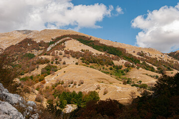 Matese Regional Park.  It is a protected natural area of Campania.  Established with regional law...