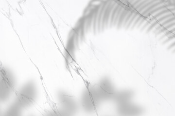 Empty marble background, tropical shadow overlay, add your design