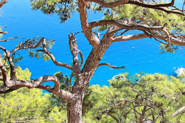 view of the Mediterranean Sea from a mountain in Turkey