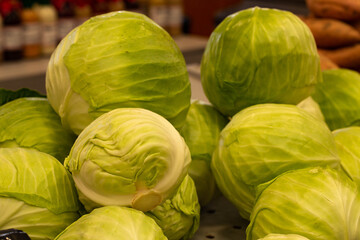 Fototapeta premium Cabbage Lettuce Head at Farmers Market