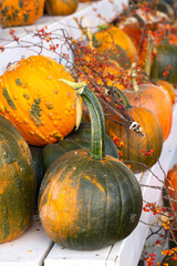 Autumn Pumpkins at Farmers Market