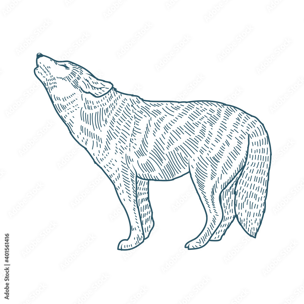 Sticker wolf realistic character drawn style icon