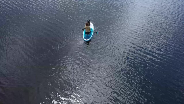 Girl swims on a SAP board with a husky dog. Walk on the lake near the spring pine forest.