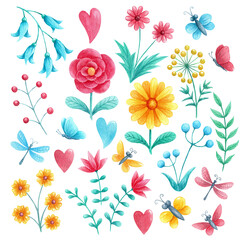 Watercolor flowers set 1